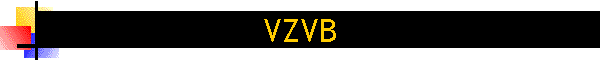 VZVB
