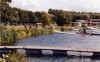 hazewinkel.jpg (63970 bytes)