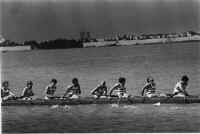 thefinish.JPG (51607 bytes)